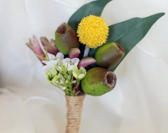 Barton - Australian Native flower Men's Buttonhole / Boutonniere. Billy Button, kangaroo paw, wax flower and gumnuts.