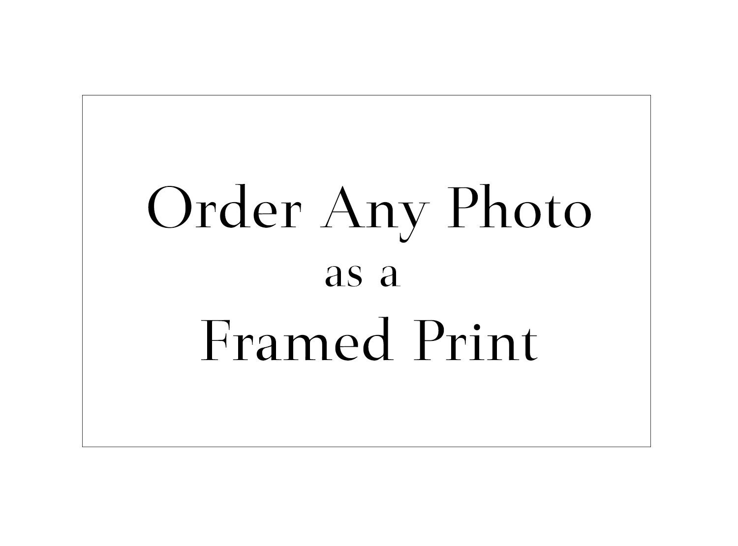 order online prints for photos