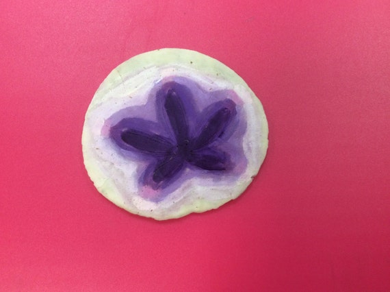 purple-sand-dollar