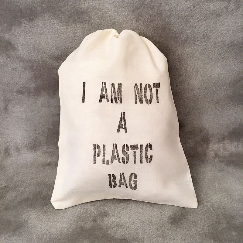 Not a Plastic Bag Recycle Go Green Upcycled Reusable