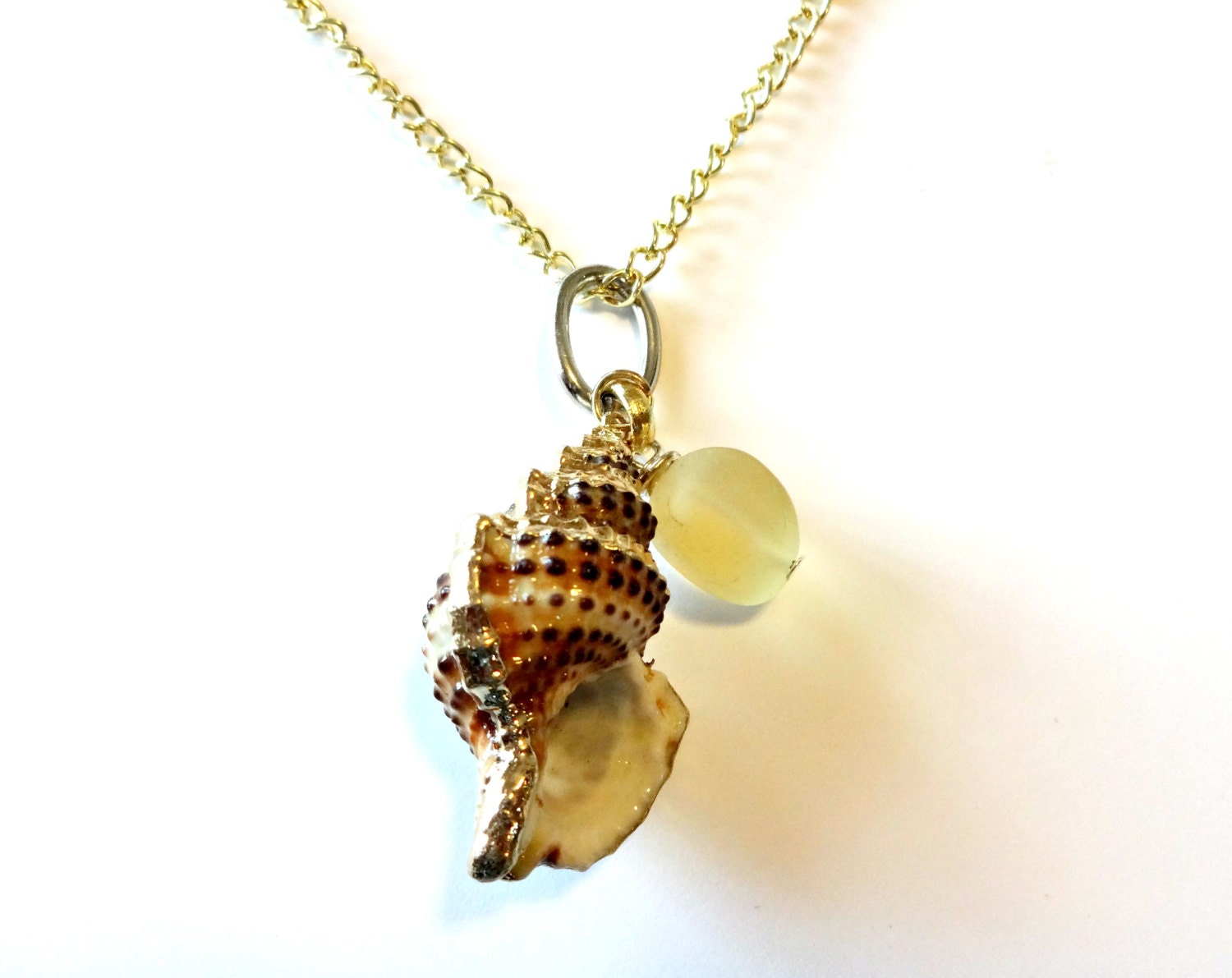 Sea Shell Necklace Sea Shell Jewelry Sea Glass Pendant