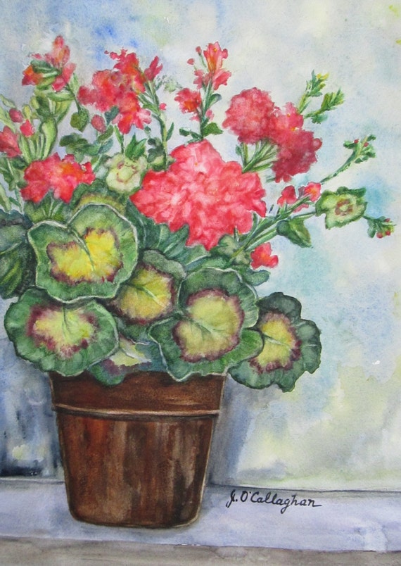 Potted Geraniums Print of Original Watercolor free