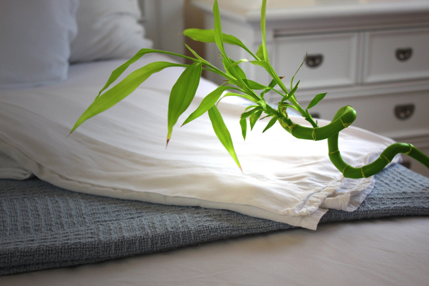 White Bamboo Sheets Full Size 100 Bamboo Softest Sheets in