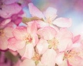 Pink Flower Photo, Spring Floral Print, Dreamy Flower Art, Pink Blossoms, Bedroom Wall Decor, Cottage Decor, Girls Bedroom Wall Decor Pink Flower Photo, Spring Floral Print, Dreamy Flower Art, Pink Blossoms, Bedroom Wall Decor, Cottage Decor, Girls Bedroom Wall Decor