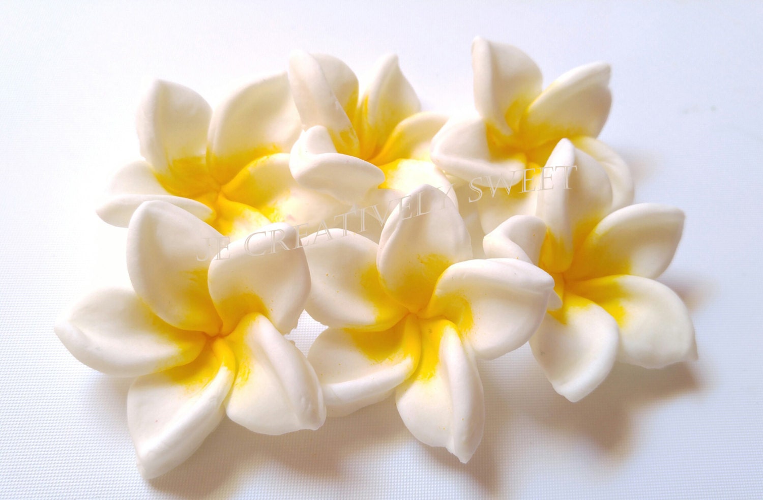 12 pcs Plumeria Frangipani Tropical Aloha Exotic Flowers