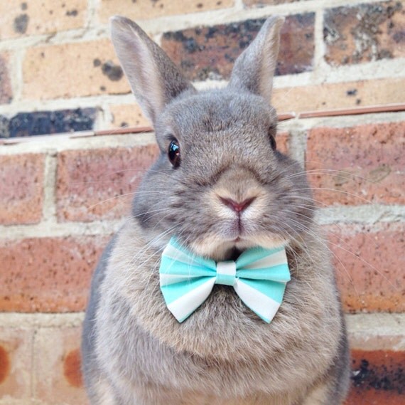 thumbnail image 2 of KAWAMOUSE Adjustable Pre-tied Bow Tie For Toddler Boys (Pink 2 of 9