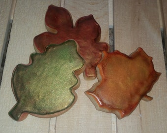 Fall/Autumn Leaves