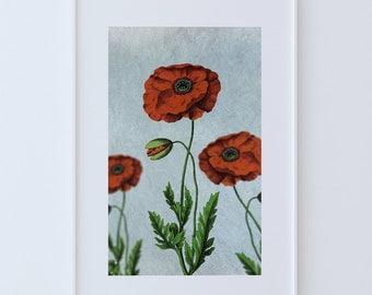 Poppy decor Poppy art Poppy vintage botanical print Poppy kitchen decor Poppy print Poppy wall decor Poppy wall art on Cotton Canvas & Paper