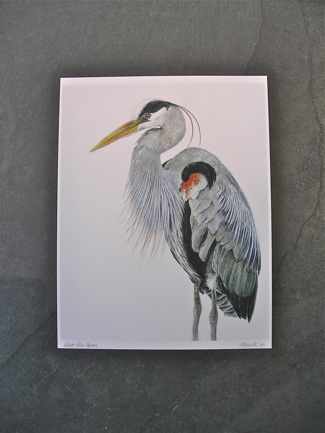 Great blue heron watercolor print watercolor bird by SRorickArt