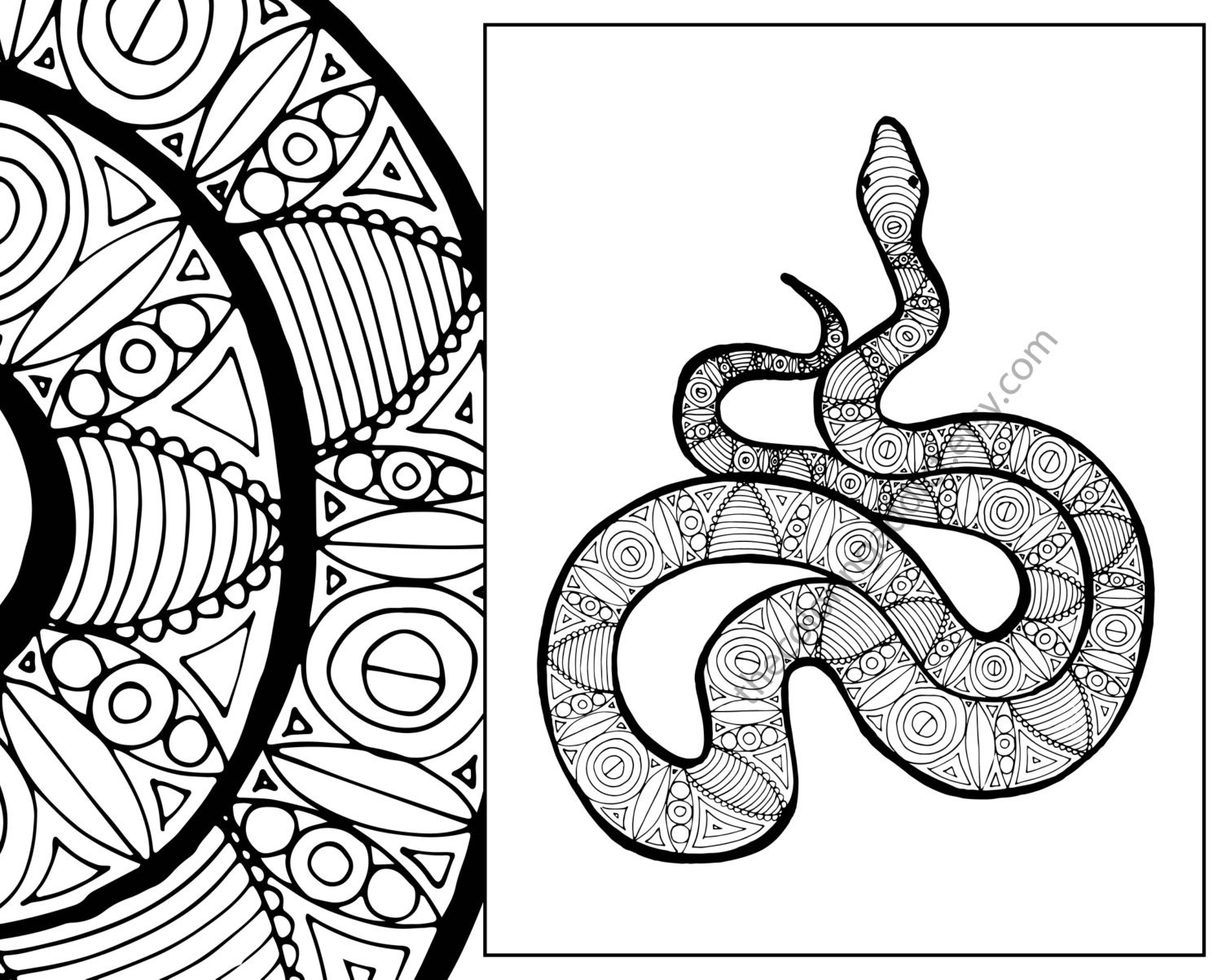 Download snake coloring sheet animal coloring pdf zentangle adult