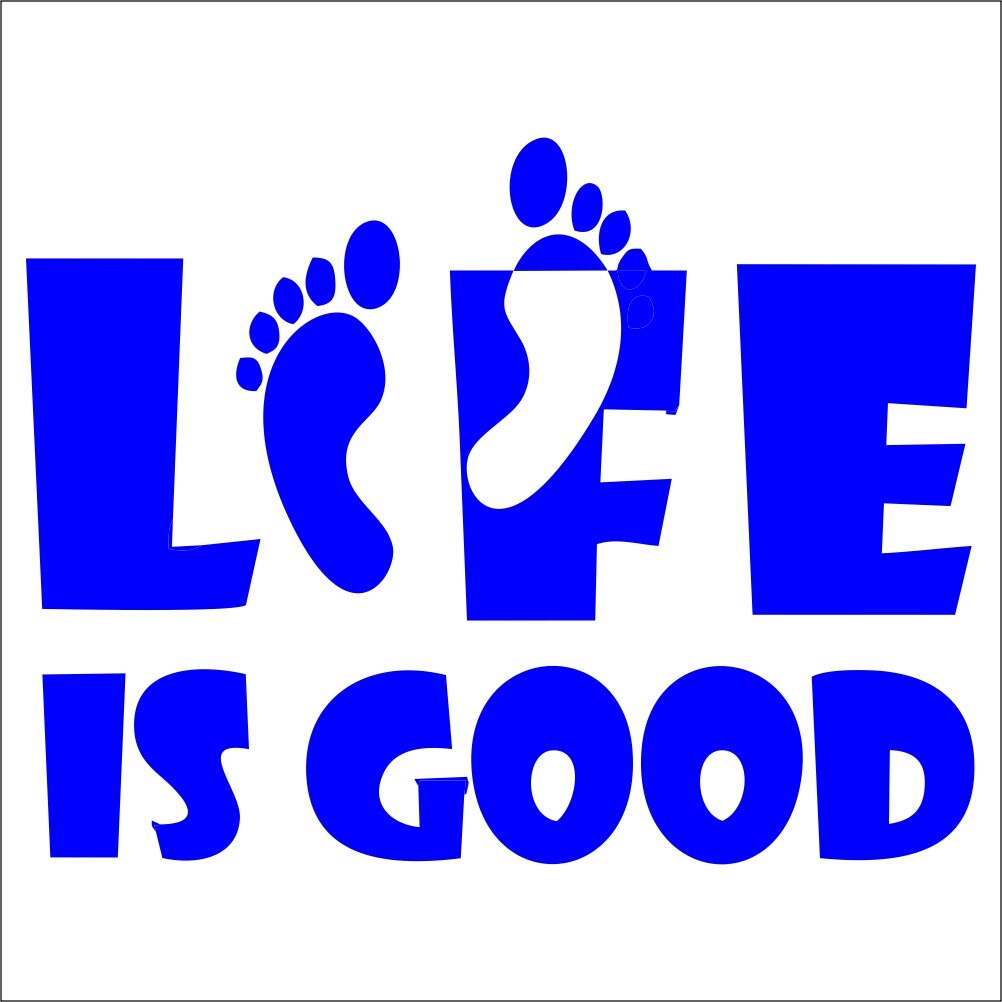 Life Is Good Custom Vinyl Decals / Stickers 2 by TheDecalPlace
