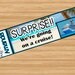 printable ticket to disneyland disney world with custom name