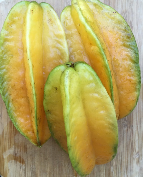 Star Fruit Starfruit Carambola Averrhoa Kari variety Tropical