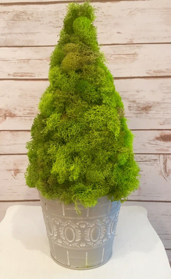 reindeer moss topiary reindeer moss topiary