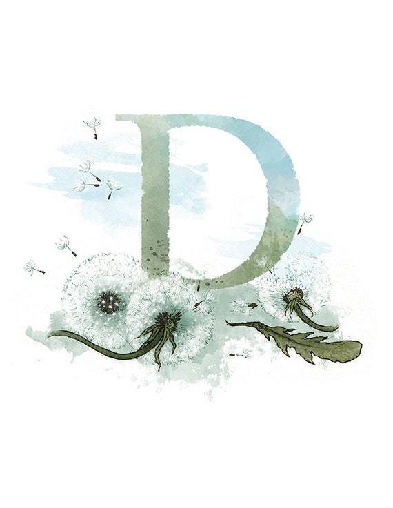 letter d dandelion printable 85 x 11 nature alphabet art