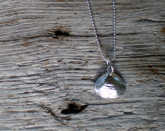 Medium Clamshell Pendant