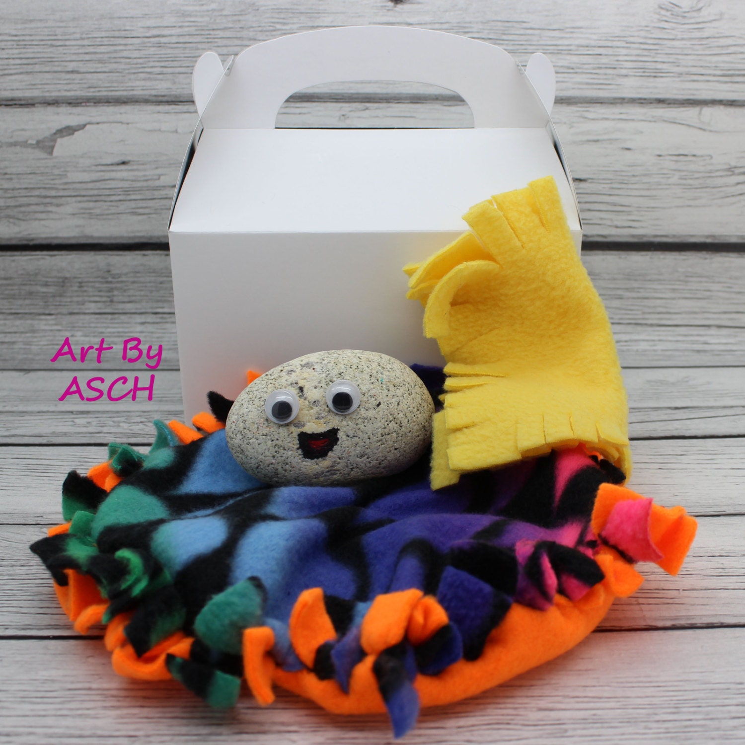 Pet Rock with bed box training certificate pet stone gag