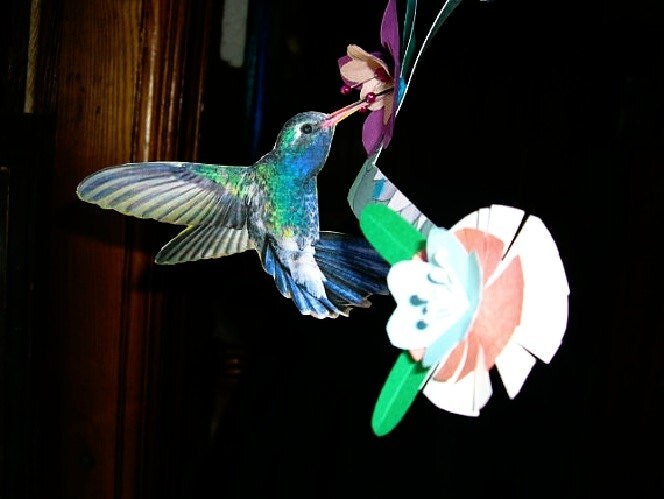 Download KINETIC HUMMINGBIRD WINDSPINNER paper sculpture 2 sizes