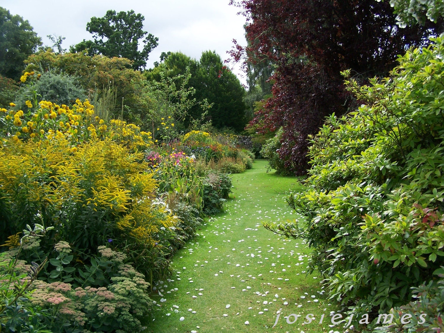 Quaint Garden Photography Art Flowers England by josiejamesdesign