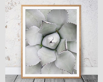 Cactus, Succulent, Cactus Print, Cactus Art, Black and White Photography, Modern Wall Decor, Cactus Photography, Cactus Poster, Cacti, 112b