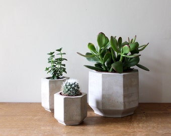 Set Of Three Geometric Concrete Planters Perfect For Cacti And Succulent Plants Plant Set Of Three Geometric Concrete Planters Perfect For Cacti And Succulent Plants Plant