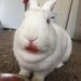 alainarawr