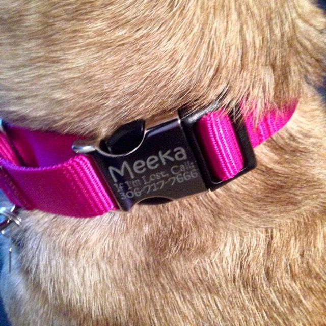 Personalized Buckle Martingale Dog Collar With 18 bing colors