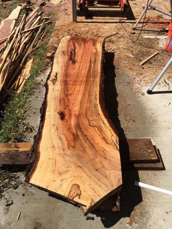 Giant Pecan Wood Slabs, pecan wood for counter top, raw ...