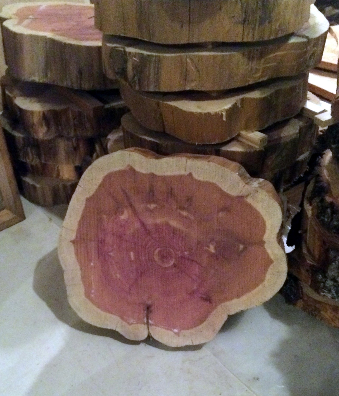 Cedar Tree Trunk Slices Unfinished by mr2woodworking on Etsy