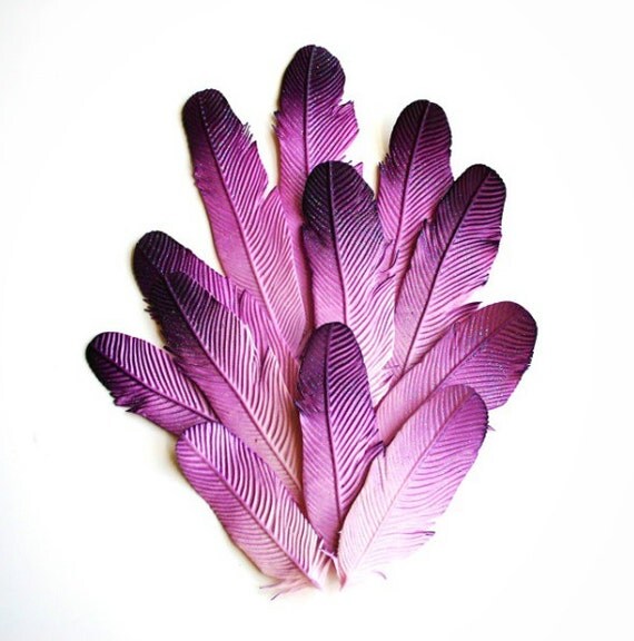 Edible Feathers custom color per 1 dozen by andiespecialtysweets
