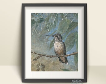 Hummingbird Art Print, Wall Decor, 8.5 x 11 Print on Fine Art Paper of a Hummingbird, Vintage Style Bird Prints, Fine Art Wall Decor Art