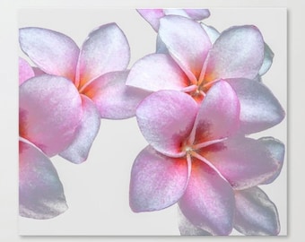 Canvas Art, Plumeria, White, Pink, 12x16, 14x14, 16x20, 18x24, 20x30, 24x32, 30x30, 30x40, 40x60