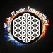 Twin Flame Innovations