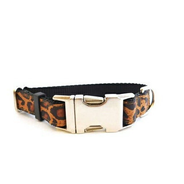 MuttsnBones Unique Dog Collars Leashes and More by MuttsnBones