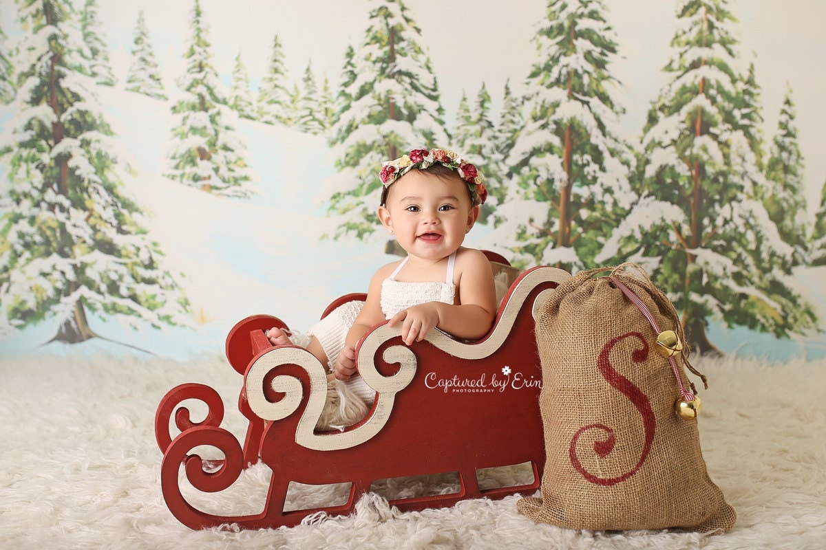 Christmas Sleigh Photo Prop 