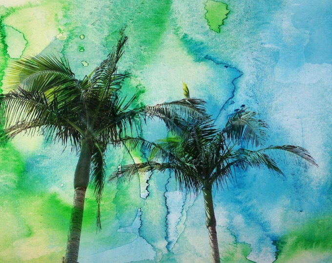 Palm Trees. Canvas Print by Irena Orlov