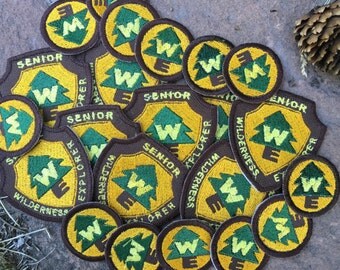 UP! Senior Wilderness Explorer Embroidered Iron-On Badge Patch Disney Pixar