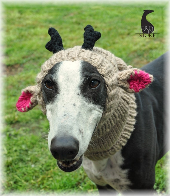 REINDEER HAT for greyhound/galgo/lurcher