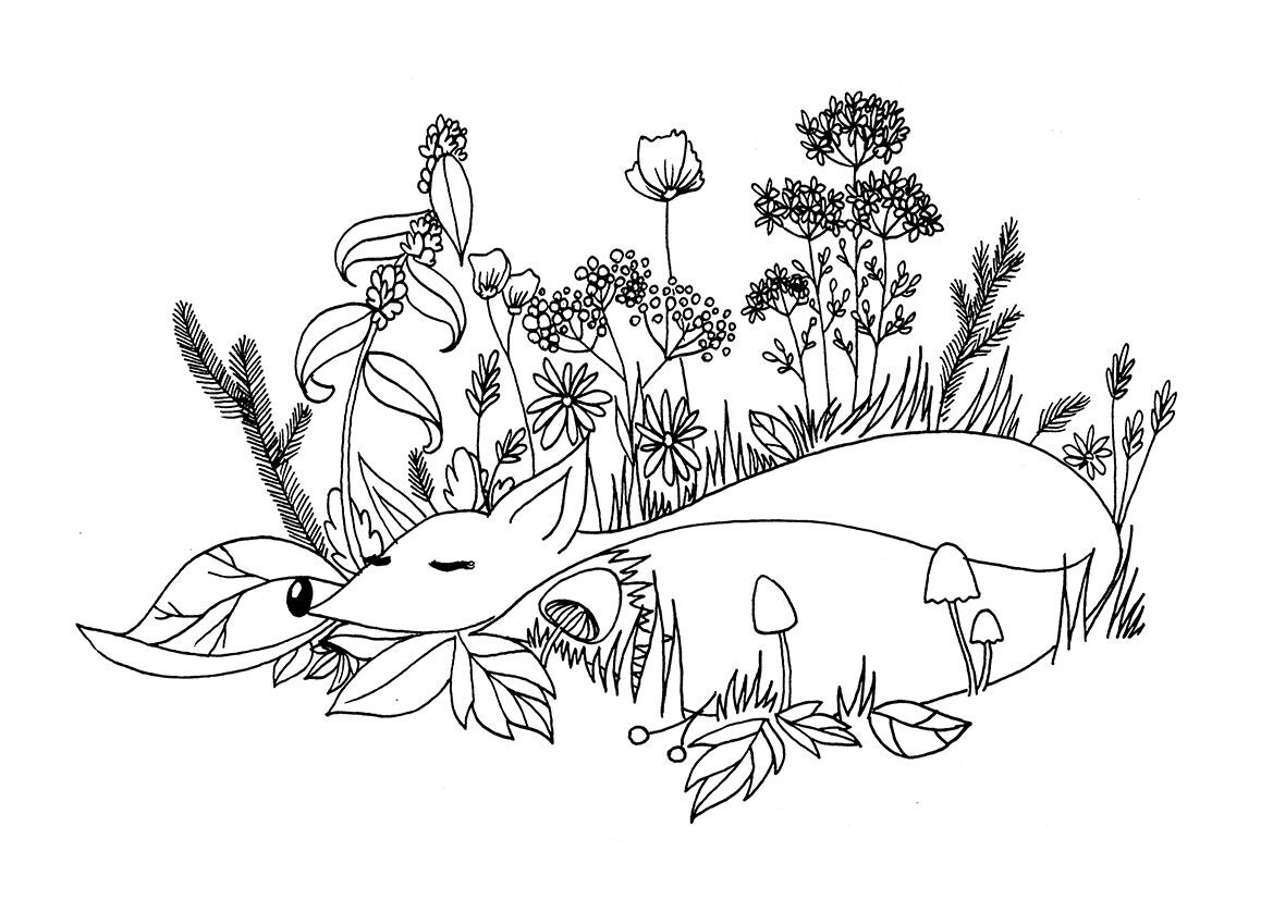 Sleeping Fox  Printable Coloring  Page  Forest Woodland  by 