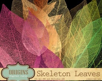Skeleton Leaves, Iridescent Autumn Leaf Clipart, Fall leaf overlays, Dead Leaves, Fairy Lights, Leaf Skeleton clip art instant download