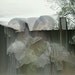 Der Gribble
