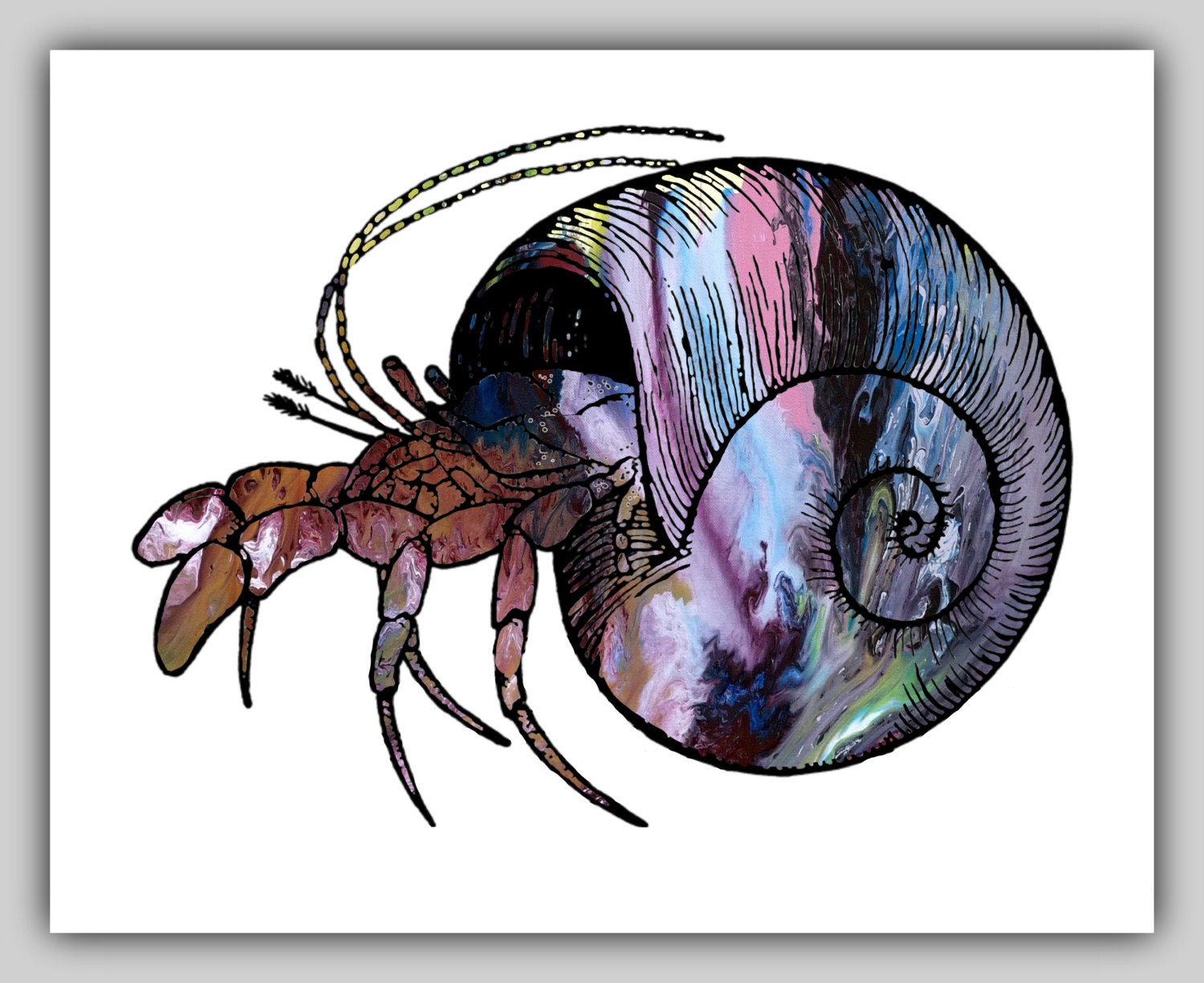 Hermit crab Hermit crab shell Nautical Nautical wall art