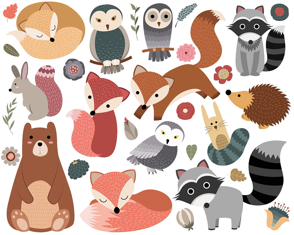 Woodland Critters Clip Art Set of 30 300 DPI PNG JPG and