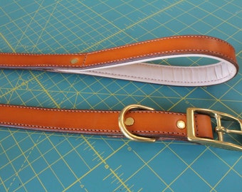 19" Premium Leather Dog Collar