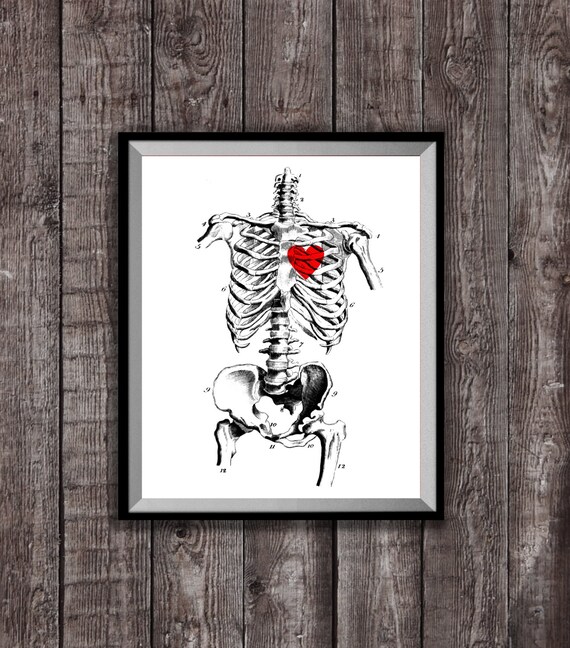 RIB CAGE Heart Art Print Anatomy Poster Anatomical