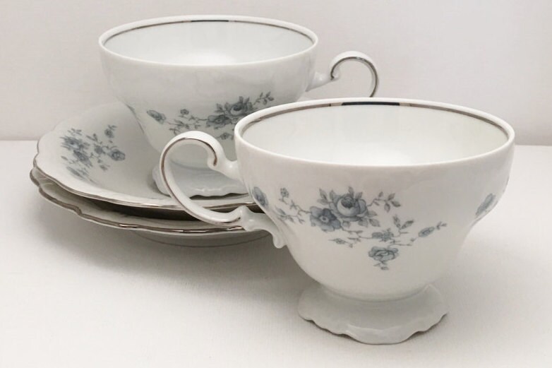 Johann Haviland Bavaria Germany Blue Garland Footed Tea Cup