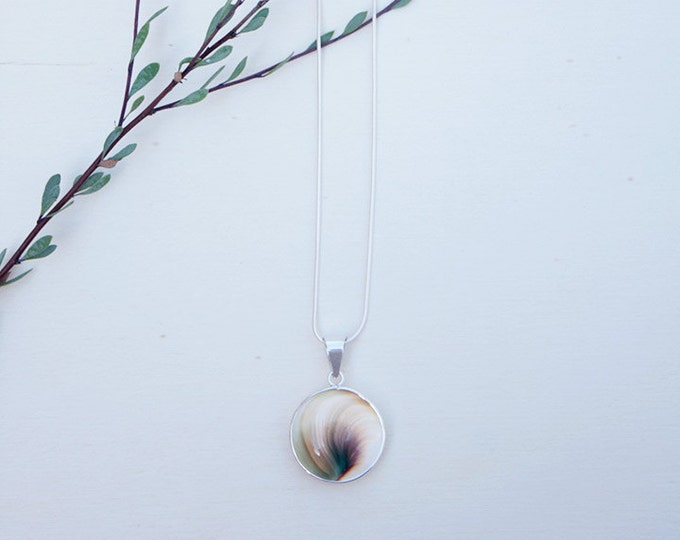 Sterling Silver necklace formed by Shiva Eye Shells