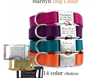 Personalized dog collar Laser engraved dog collar Metal buckle pet ID tag dog collars Dog ID tag pet collar boy dog collar girl dog collar