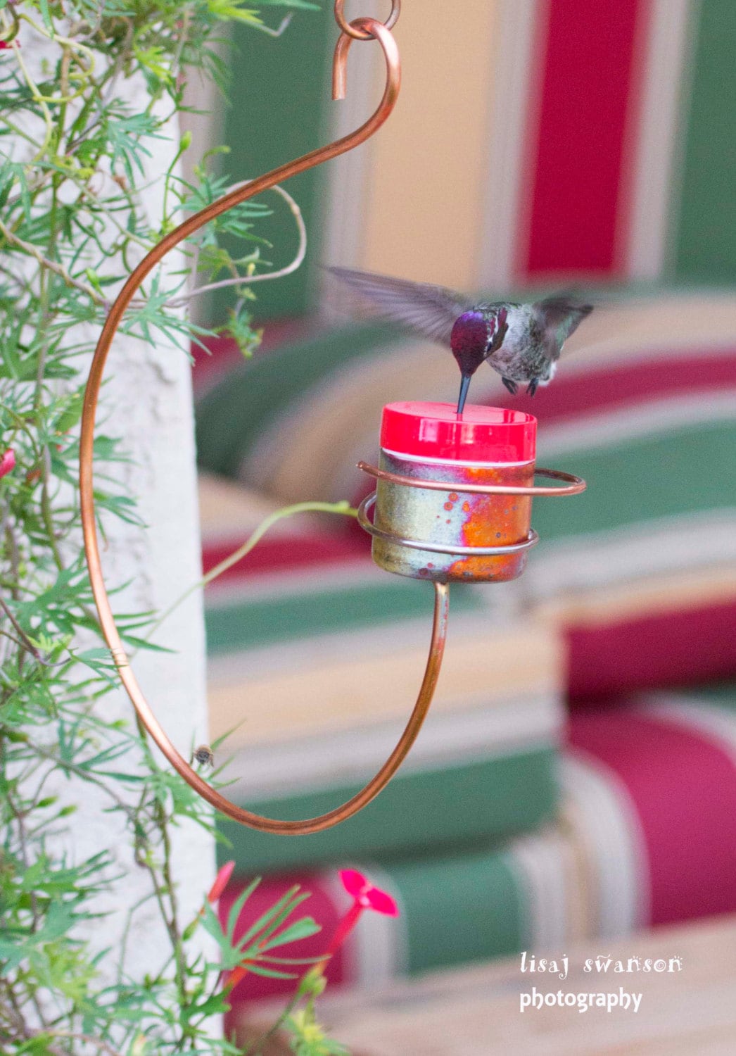 BeeProof DripFree Copper Hummingbird Feeder III