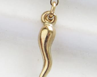 Tiny Italian Horn Necklace • Good Luck Charm • Amulet • Italian Family Gift • Gift for Italian Daughter